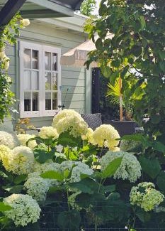 Municipality of Den Helder House | Romantisch Huisje nabij het strand met uitzicht op de tulpenvelden