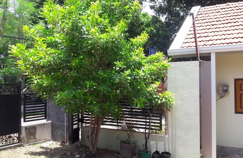 Marawila House | Roo Neeroga