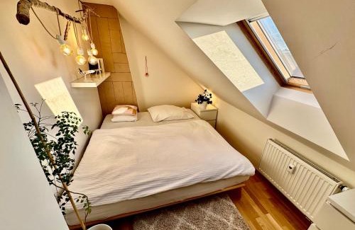 Nusle Apartment | Rooftop appartment