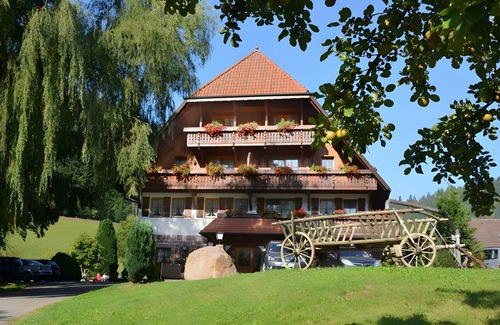 Ehlenbogen Apartment | Room 'Doppelzimmer 10' with Mountain View, Shared Terrace and Wi-Fi