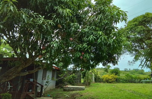 Ba House | Room-tropical Oasis in Tonge, Fiji - Rel