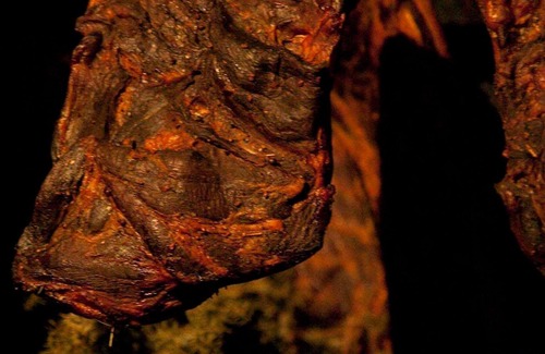 Schoenberg im Stubaital Hotel | Room - Type AF - Hotel Handl ***