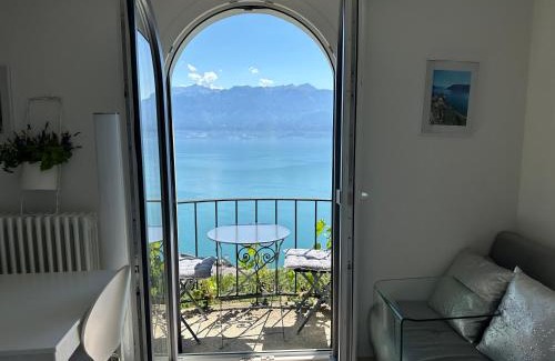 Puidoux House | Room with 360° view overlooking Lake Geneva and Alps