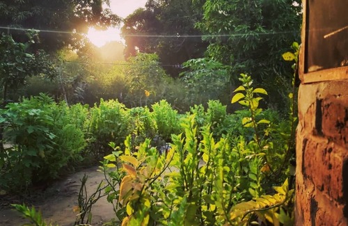 Western House | "ROOTS" Guesthouse @Good Vibes Eco Lodge