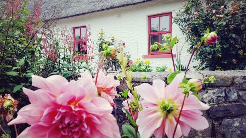 Lisdoonvarna House | Rose Cottage