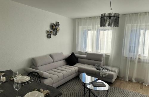 Rosenfeld Apartment | Rose