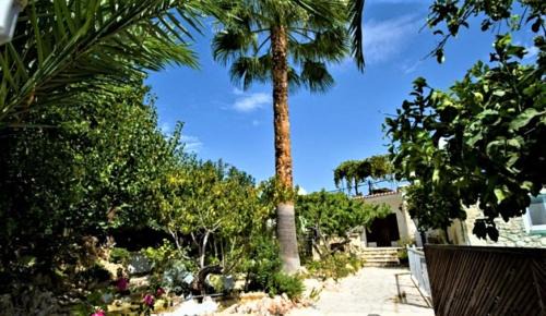 Peristerona House | Rose Garden Villa Peristerona