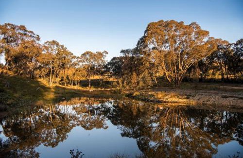 Grattai Cabin | Rose Quartz - 1 Bed with Mountain Views - Kundalini Lodge