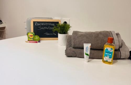 Quartier Pasteur Apartment | Rouen Le Charme Normand en centre ville