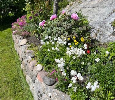 Skaerhamn House | Rovor och Rum Rännet
