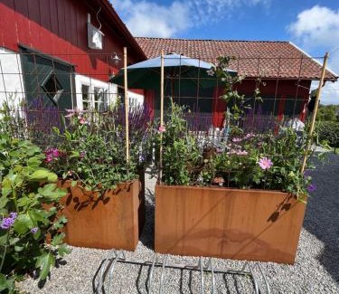 Skaerhamn House | Rovor och Rum Rännet