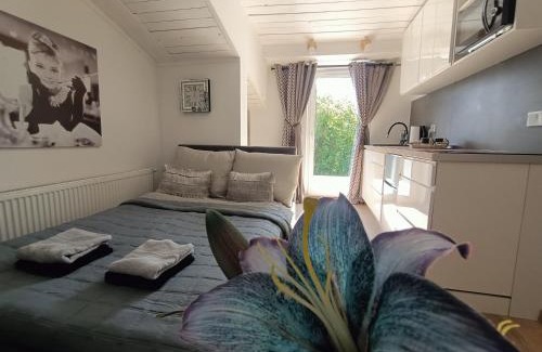 Katowice Apartment | Royal EvitaBocelli Spodek by walk