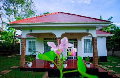 Moshi House | Royal Homestay