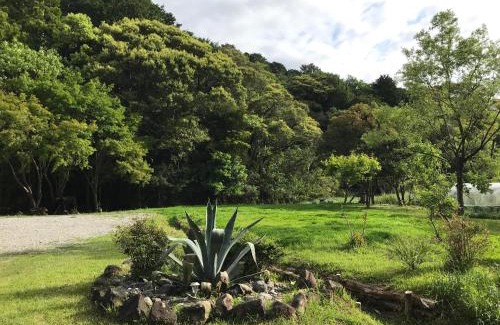 Toyo-cho House | Rulo Classic Garden