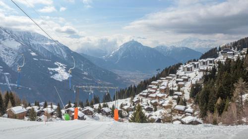 Bettmeralp House | Rupicapra
