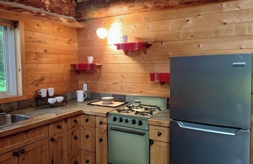 Golden Cabin | Rustic Beaverfoot Lodge Dream Cabin
