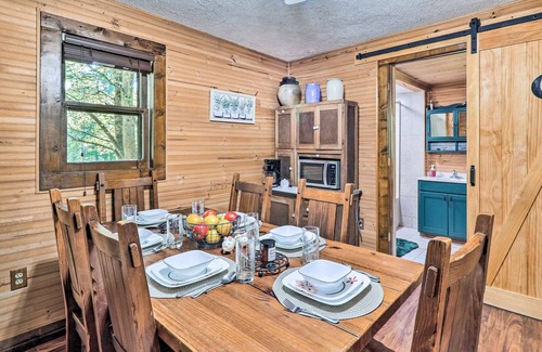 Ennice Cabin | Rustic Cabin w/Patio & Pond on Blue Ridge Parkway