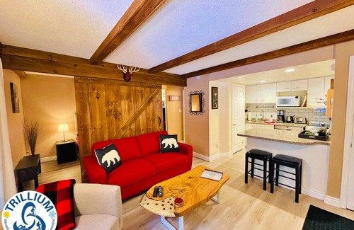 Craigleith Condo | Rustic Mountainside Chalet