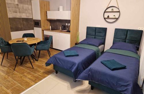 Zory Apartment | Sądowa 6