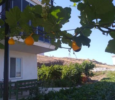 Salda Bed & Breakfast | Sağıroğlu Apart