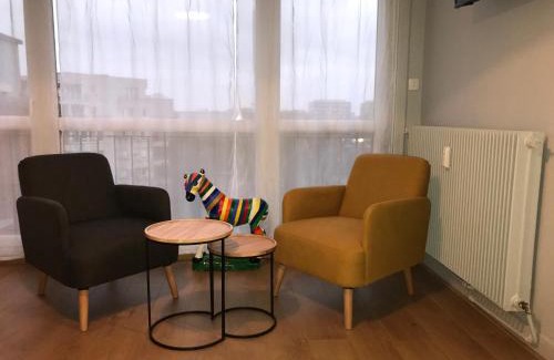 Lille Centre Ville Apartment | SAFARI DREAM