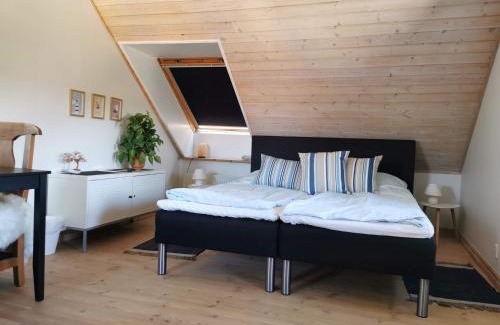 Faaborg Bed & Breakfast | Safine B&B