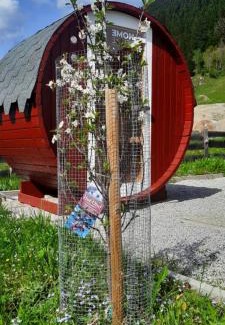 Kleinarl House | Saghäusl