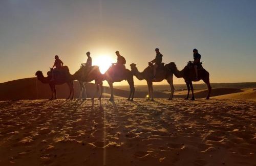 Lac Yasmins Other | Sahara Family camp