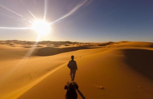 Lac Yasmins Other | Sahara Family camp