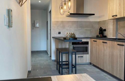 Bellevue - Le Mont - La Jomayere Apartment | Saint-Étienne Bellevue Confort 3