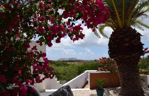 Pietermaai District Resort | Saint Joris a tiny Boutique Resort