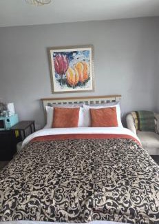 Dromineer House | Salmon island view