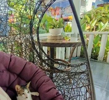 Koh Rong Sanloem House | Sam's Guesthouse M'Pai Bay
