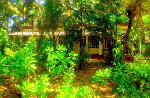 Thiranagama House | Saman Beach Hikkaduwa
