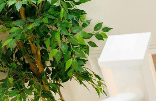 Kilkenny City Centre Bed & Breakfast | Sandbury Town House