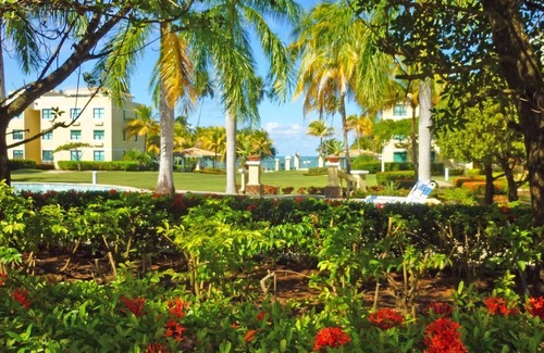 Mediania Alta Apartment | Sandy Cove