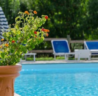 Villa Collemandina Apartment | Santa Lucia