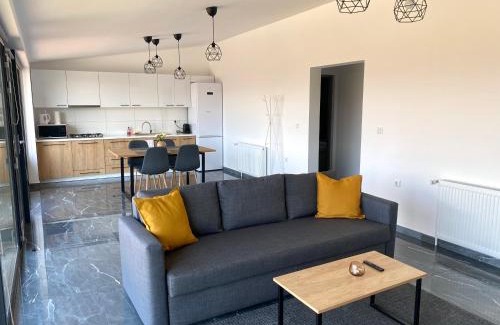 Pauleni-Ciuc Apartment | Santhias Apartments