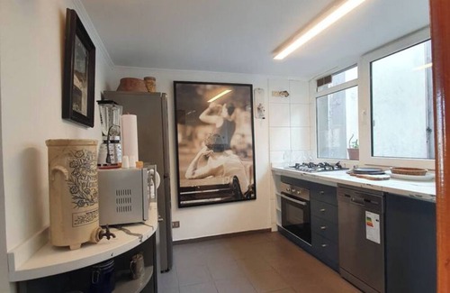 Bellas Artes Apartment | Santiago, Lastarria, Parque Forestal Nice view