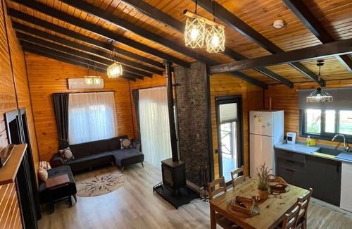 Sapanca Ski Chalet | Sapanca Dereboyu Konakları