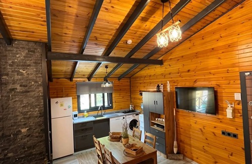 Sapanca Ski Chalet | Sapanca Dereboyu Konakları