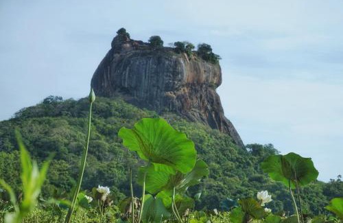 Sigiriya Bed & Breakfast | Sashini Homestay