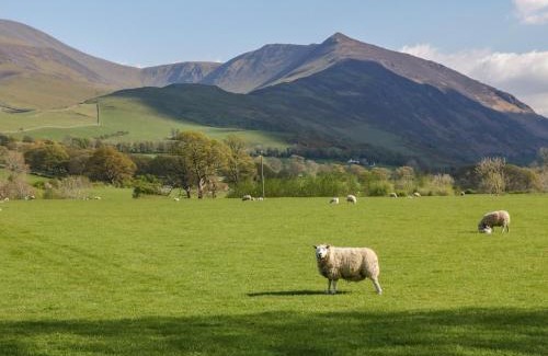 Borrowdale House | Scale Force