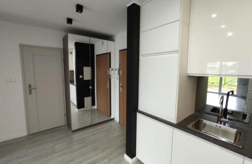 Lublin Apartment | Scandinavian Garden Apartament