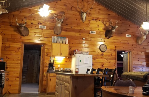 Pearl Cabin | Scenic river bluff view with privacy!