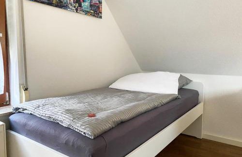 Niederlungwitz Apartment | Schönes 1 Zimmer Apartment mit Dachterrasse