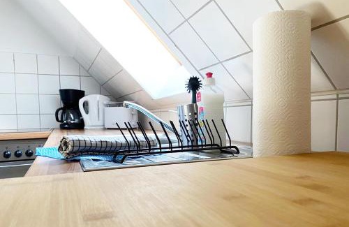 Niederlungwitz Apartment | Schönes 1 Zimmer Apartment mit Dachterrasse