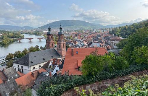 Miltenberg Apartment | schönes Studio für Ihren Kurzurlaub in Miltenberg