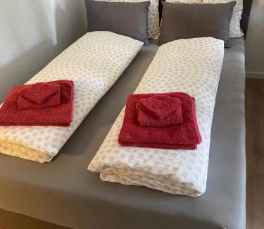Bad Liebenzell Apartment | Schwarzwaldtraum inkl WLAN Netflix und Kurtaxe