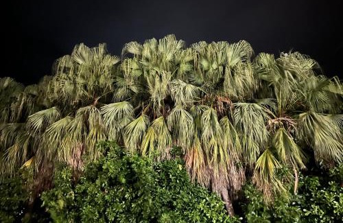 Marathon Villa | Seas the Keys Getaway